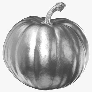 pumpkin 02 silver 3D