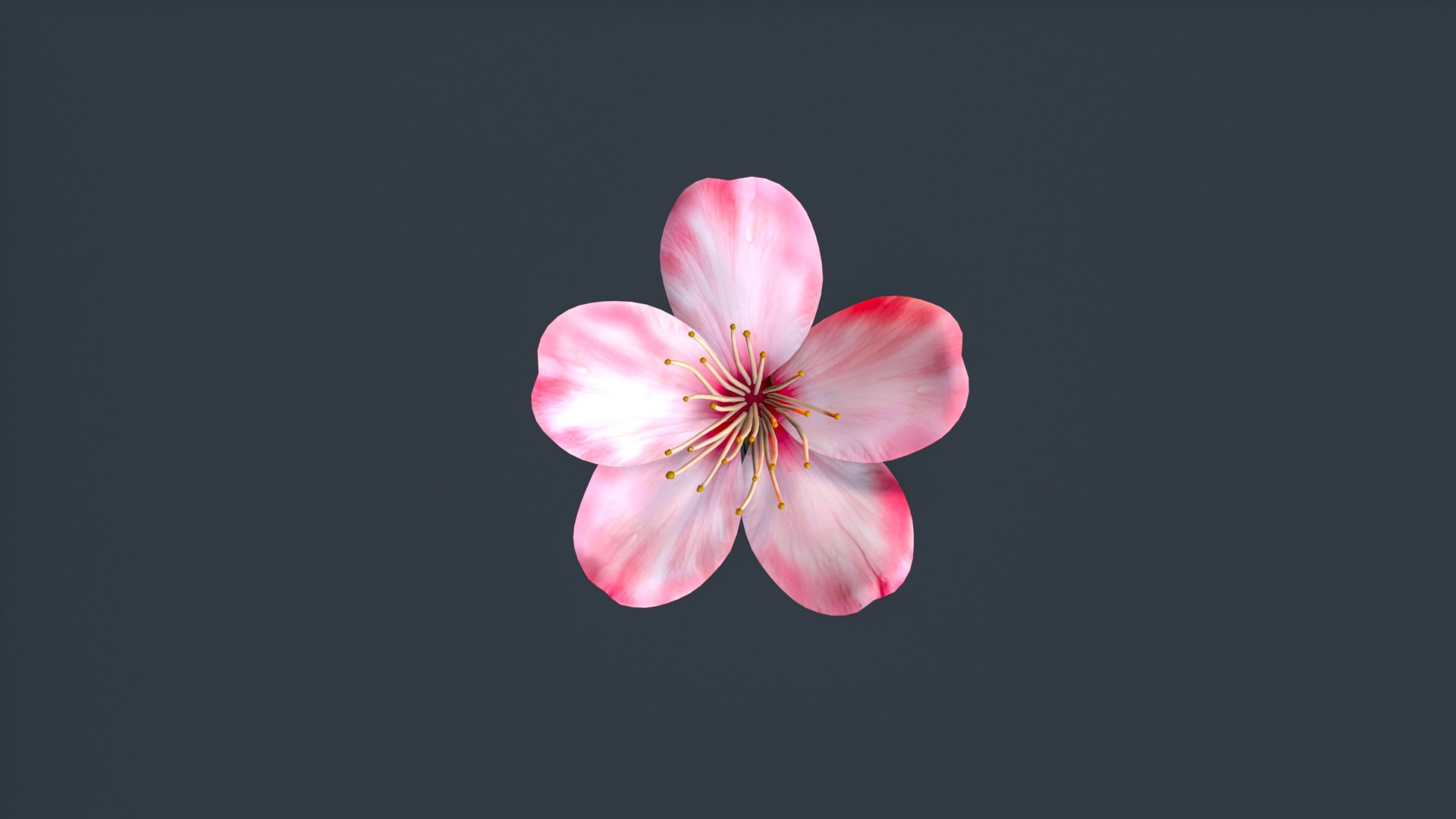peach flower 3D https://p.turbosquid.com/ts-thumb/rD/KHEglV/8O/untitled_002/jpg/1763216624/1920x1080/fit_q87/610e7cbb355a6f9876c2a3242fa209e443468a8b/untitled_002.jpg