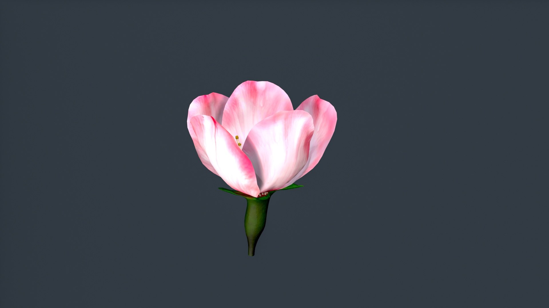 peach flower 3D https://p.turbosquid.com/ts-thumb/rD/KHEglV/9A/untitled_006/jpg/1763216627/1920x1080/fit_q87/17c31a84b4ccbb0e204de6aaa4fa8adb903e6810/untitled_006.jpg