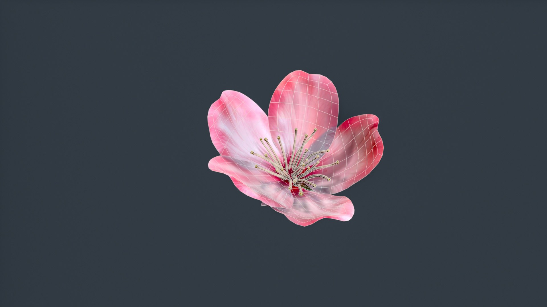 peach flower 3D https://p.turbosquid.com/ts-thumb/rD/KHEglV/9P/untitled_009/jpg/1763216629/1920x1080/fit_q87/eefebdb31c7eafe29d3e029fcb98c67c5b154451/untitled_009.jpg