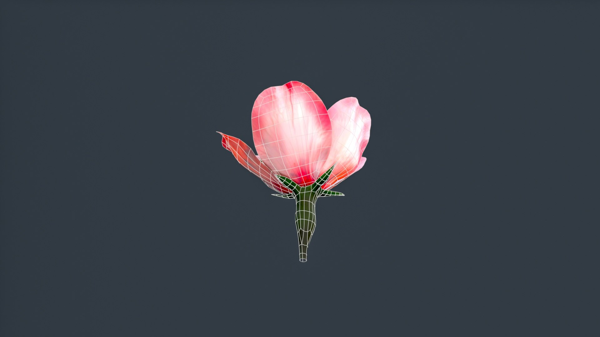 peach flower 3D https://p.turbosquid.com/ts-thumb/rD/KHEglV/Hs/untitled_010/jpg/1763216628/1920x1080/fit_q87/a3ac0a77d816ff6e87d407c4f053127bb6fda639/untitled_010.jpg