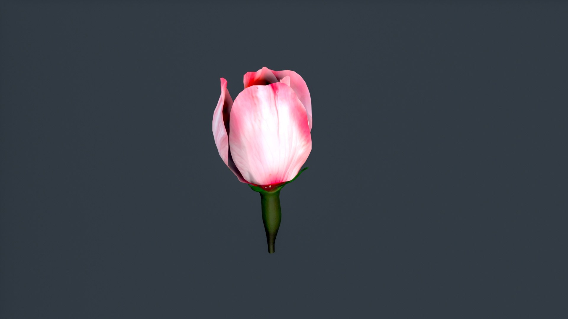 peach flower 3D https://p.turbosquid.com/ts-thumb/rD/KHEglV/eh/untitled_004/jpg/1763216626/1920x1080/fit_q87/f756d54f5d18d0b7a07a435fb6659ccaf12dd074/untitled_004.jpg