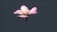 Pfirsichblüte