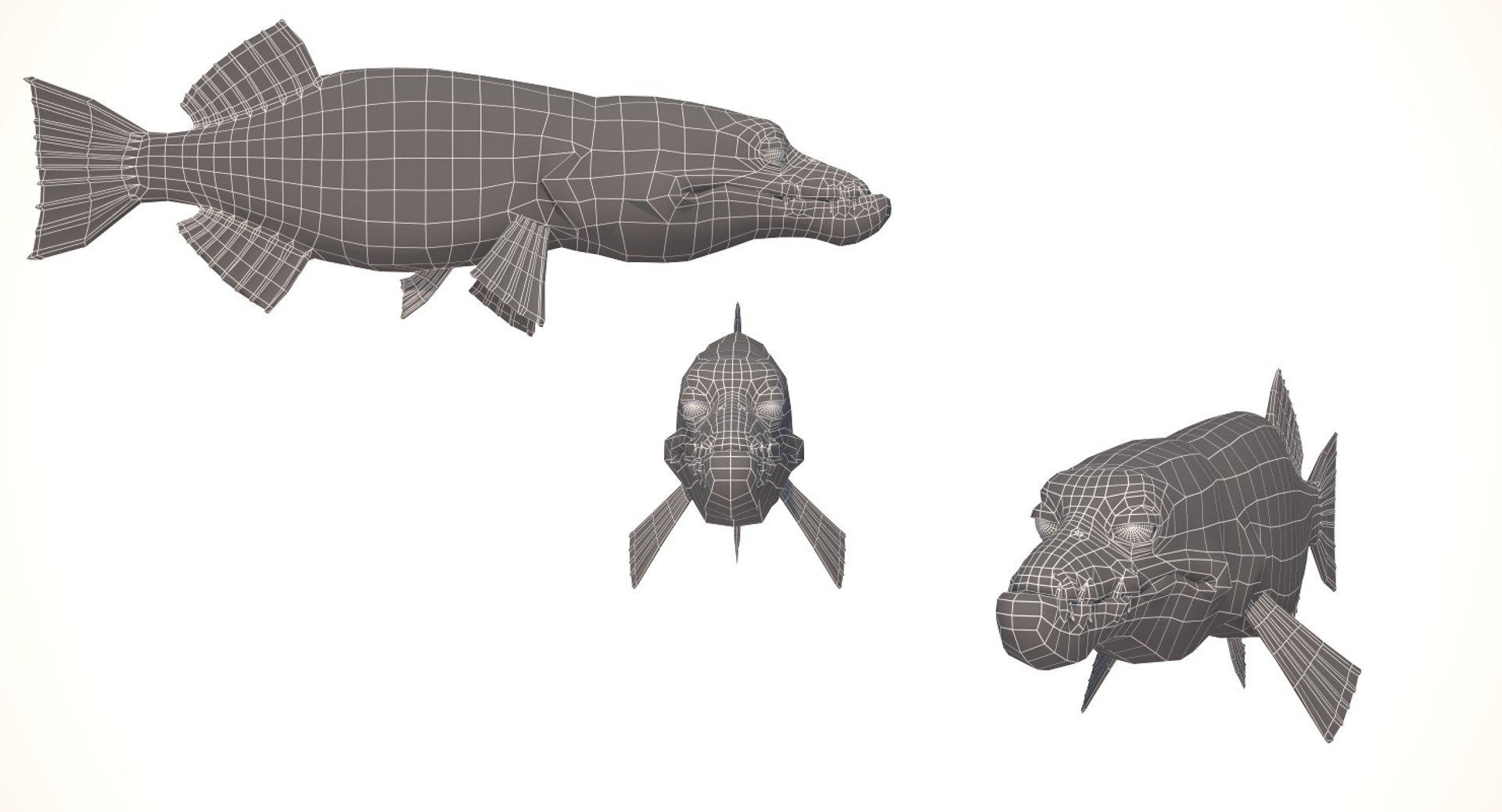 cartoon fish model https://p.turbosquid.com/ts-thumb/rD/bBgUiY/BZ7Aikf1/cartoonfishcollectionfishjrenderwire/jpg/1493675077/1920x1080/fit_q87/b8037b730bdb2d39f65519becbcc23f5ad7a38fd/cartoonfishcollectionfishjrenderwire.jpg