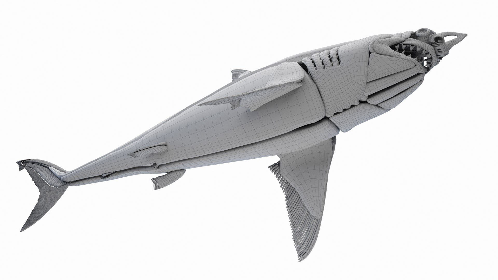 Great White Shark Anatomy Static 3D model https://p.turbosquid.com/ts-thumb/rD/emZFuw/ji/great_white_shark_anatomy_wire_a1f0001/jpg/1672170607/1920x1080/fit_q87/ba7b4b1dd563163448b5276cbf9ed641677978cf/great_white_shark_anatomy_wire_a1f0001.jpg