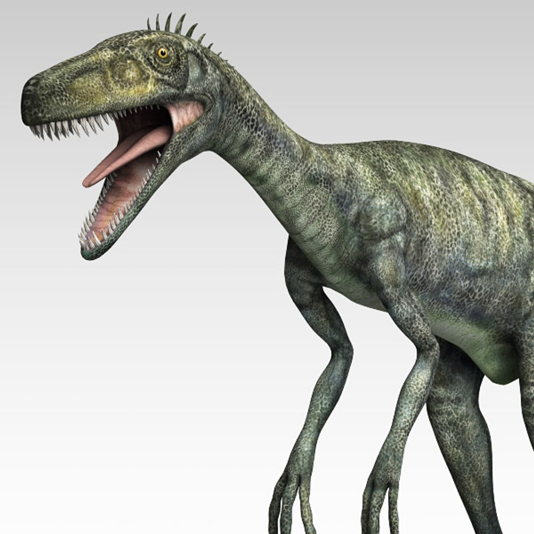 max herrerasaurus dinosaurs https://p.turbosquid.com/ts-thumb/rD/g8Duoy/O8xR2WoJ/herre06/jpg/1367930039/1920x1080/fit_q87/42c1e5f673c223bbca667b8c32691d56652514c4/herre06.jpg