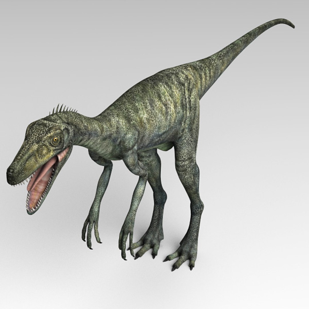 max herrerasaurus dinosaurs https://p.turbosquid.com/ts-thumb/rD/g8Duoy/jDrNQFY7/herre05/jpg/1367930039/1920x1080/fit_q87/ae3fffb91259753bc66679b2b887ccbfed2ba055/herre05.jpg