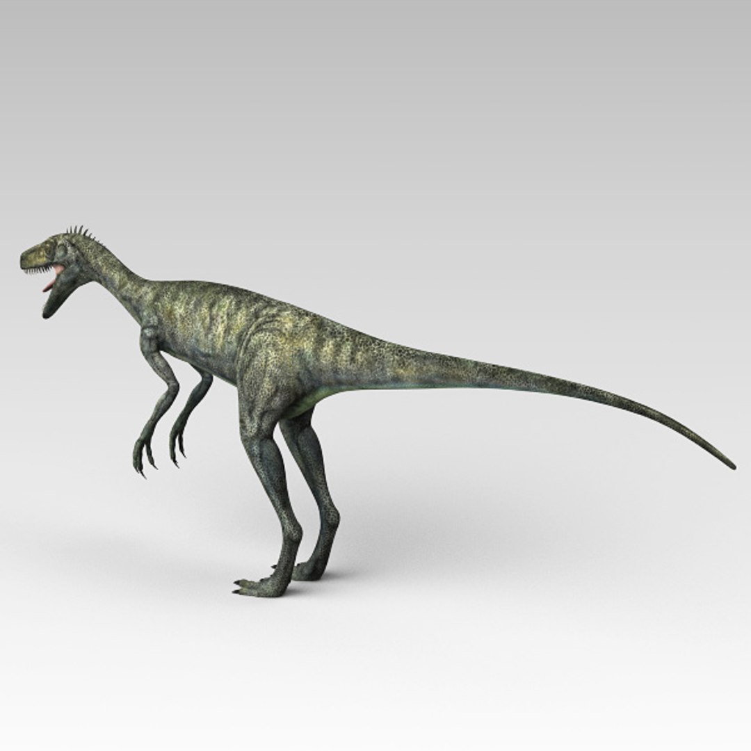 max herrerasaurus dinosaurs https://p.turbosquid.com/ts-thumb/rD/g8Duoy/nbCq7W33/herre04/jpg/1367930039/1920x1080/fit_q87/6b73fce981ad80229d1eab9300e927a26409740b/herre04.jpg