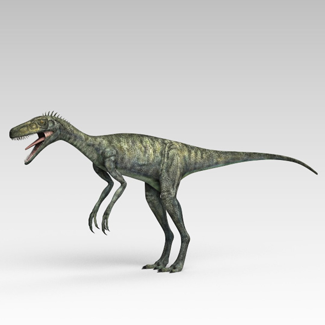 max herrerasaurus dinosaurs https://p.turbosquid.com/ts-thumb/rD/g8Duoy/qli4NsG4/herre03/jpg/1367930039/1920x1080/fit_q87/675bac3f396e4b6770b0dbf0c5b367b10d39a779/herre03.jpg
