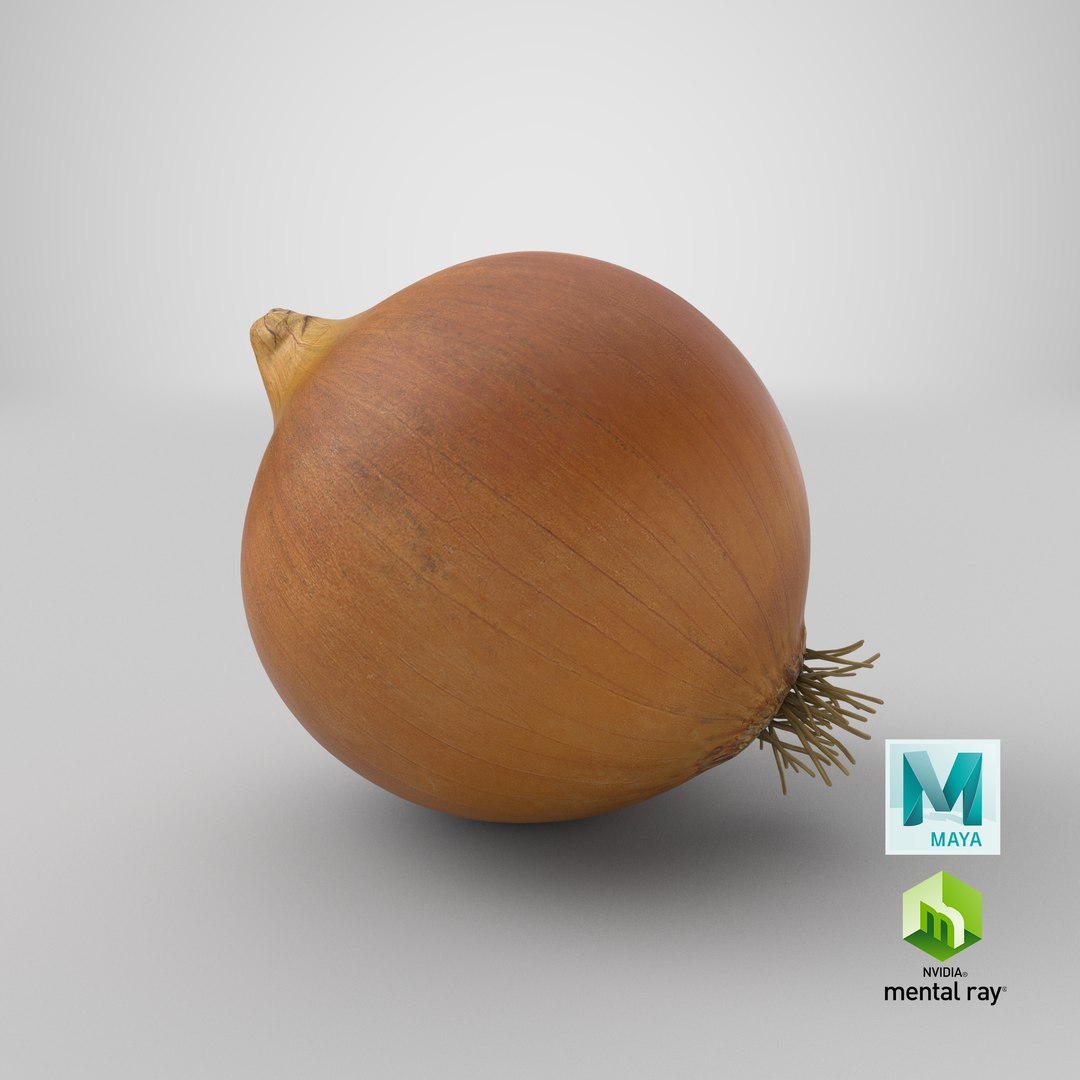 3D Whole Onion Model - TurboSquid 1772913