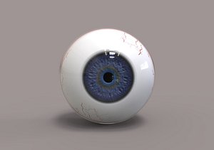 human eye 3D