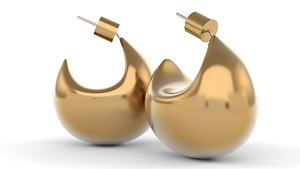 3D Earrings model