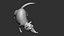 Rat Ztl