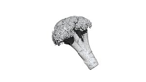 3D model broccoli  cut 3D CT scan model 1 decimate 3percent