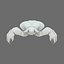 Louse