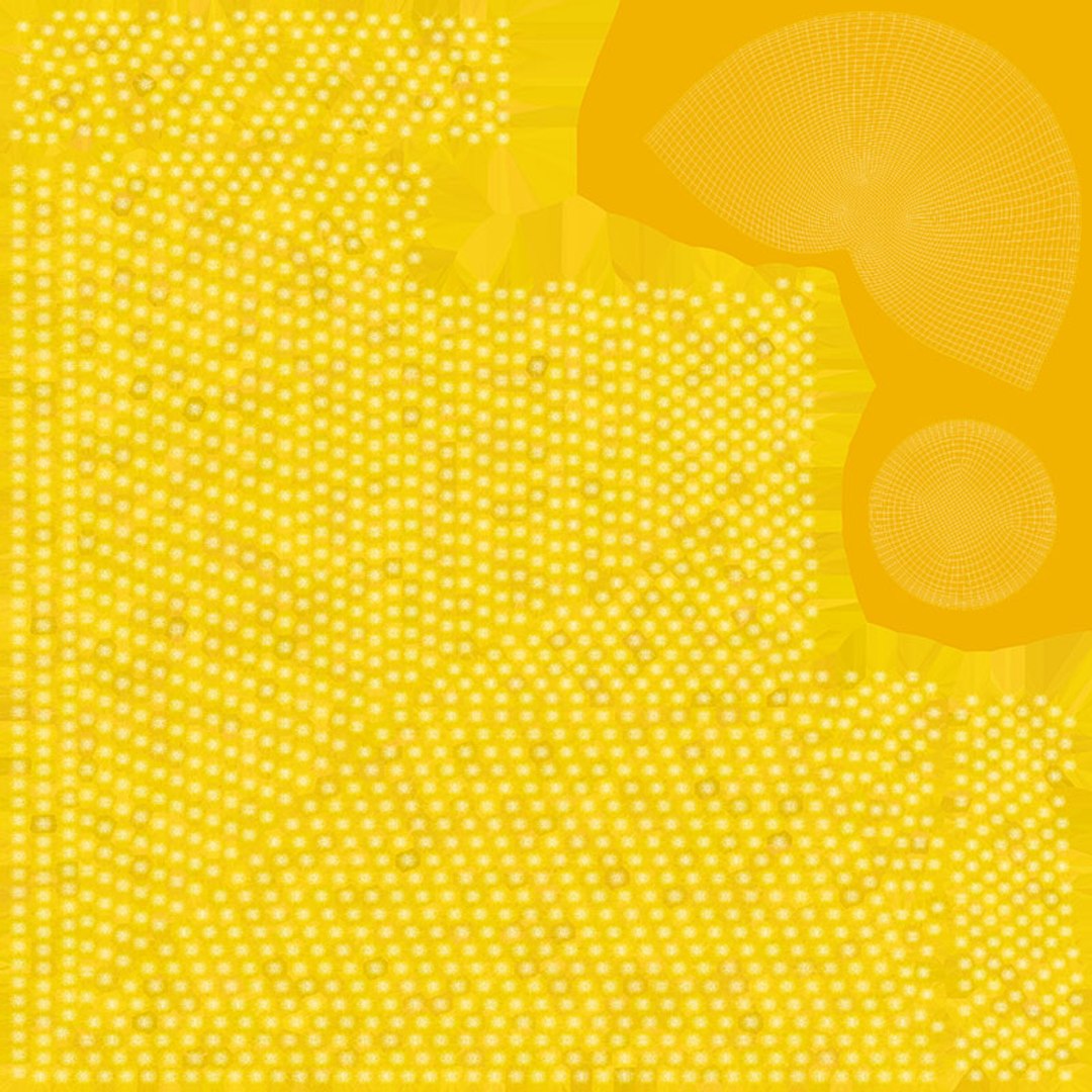 Pile Cooked Yellow Rice 2 3D Model - TurboSquid 2306706