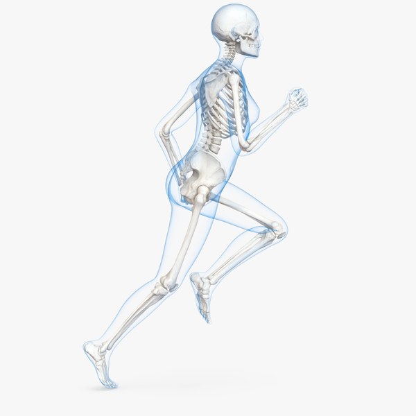 female body skeleton running 3D