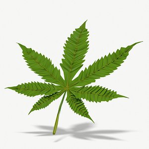 3D marijuana leaf