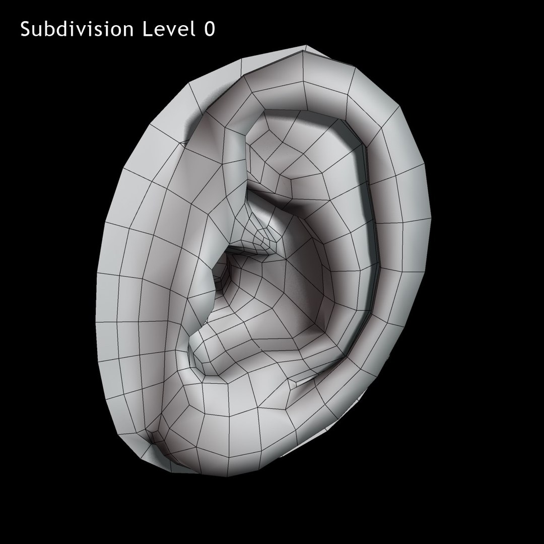 max human ear https://p.turbosquid.com/ts-thumb/rE/Zvo0ux/JEKs2YSZ/image_08/jpg/1376337896/1920x1080/fit_q87/928197f1ef1e7110985109ed24314a197aec77e9/image_08.jpg