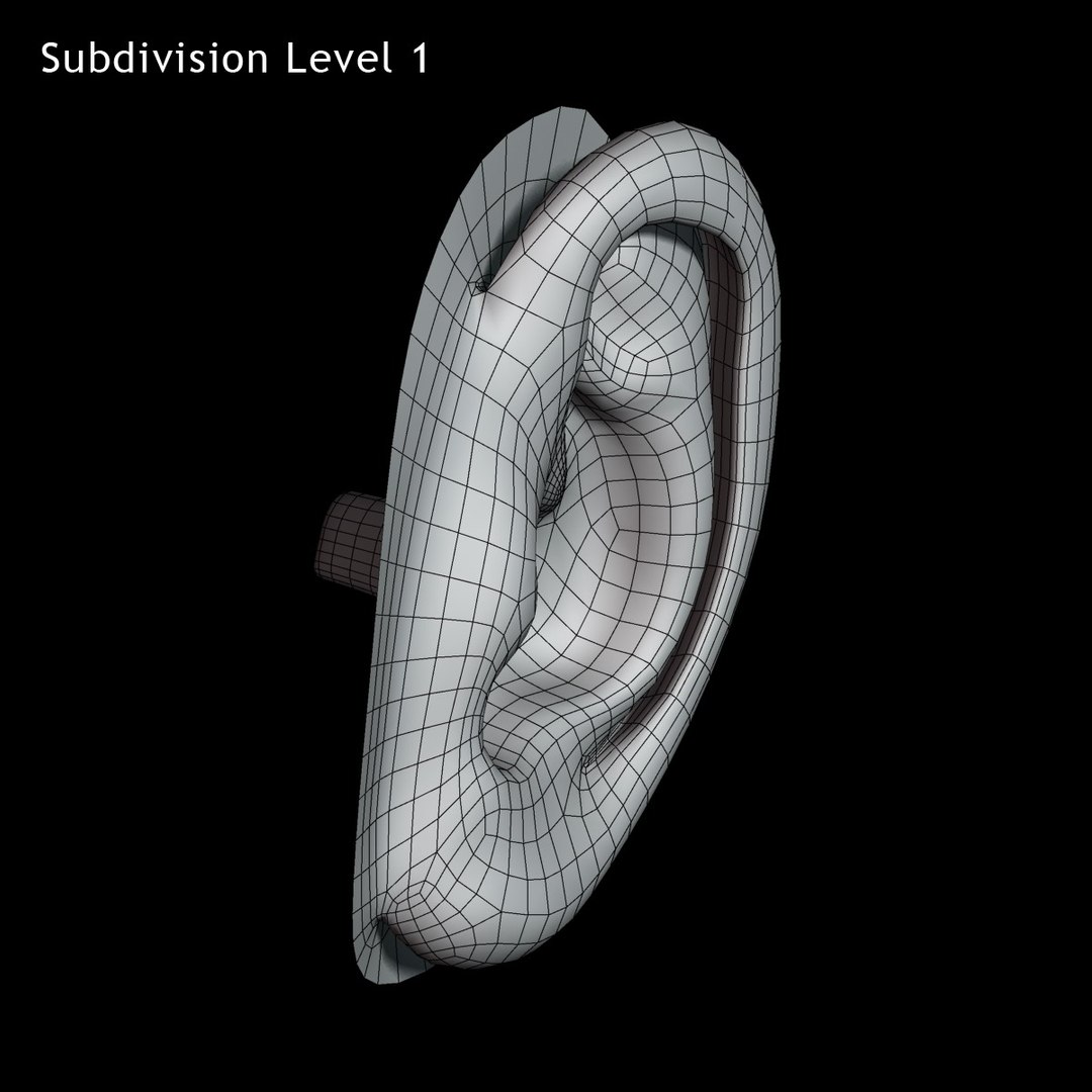 max human ear https://p.turbosquid.com/ts-thumb/rE/Zvo0ux/m3FzpHSw/image_11/jpg/1376337896/1920x1080/fit_q87/ab4f88ec3ad70b6e0d50aab3ee6a5f81ddf88f5b/image_11.jpg