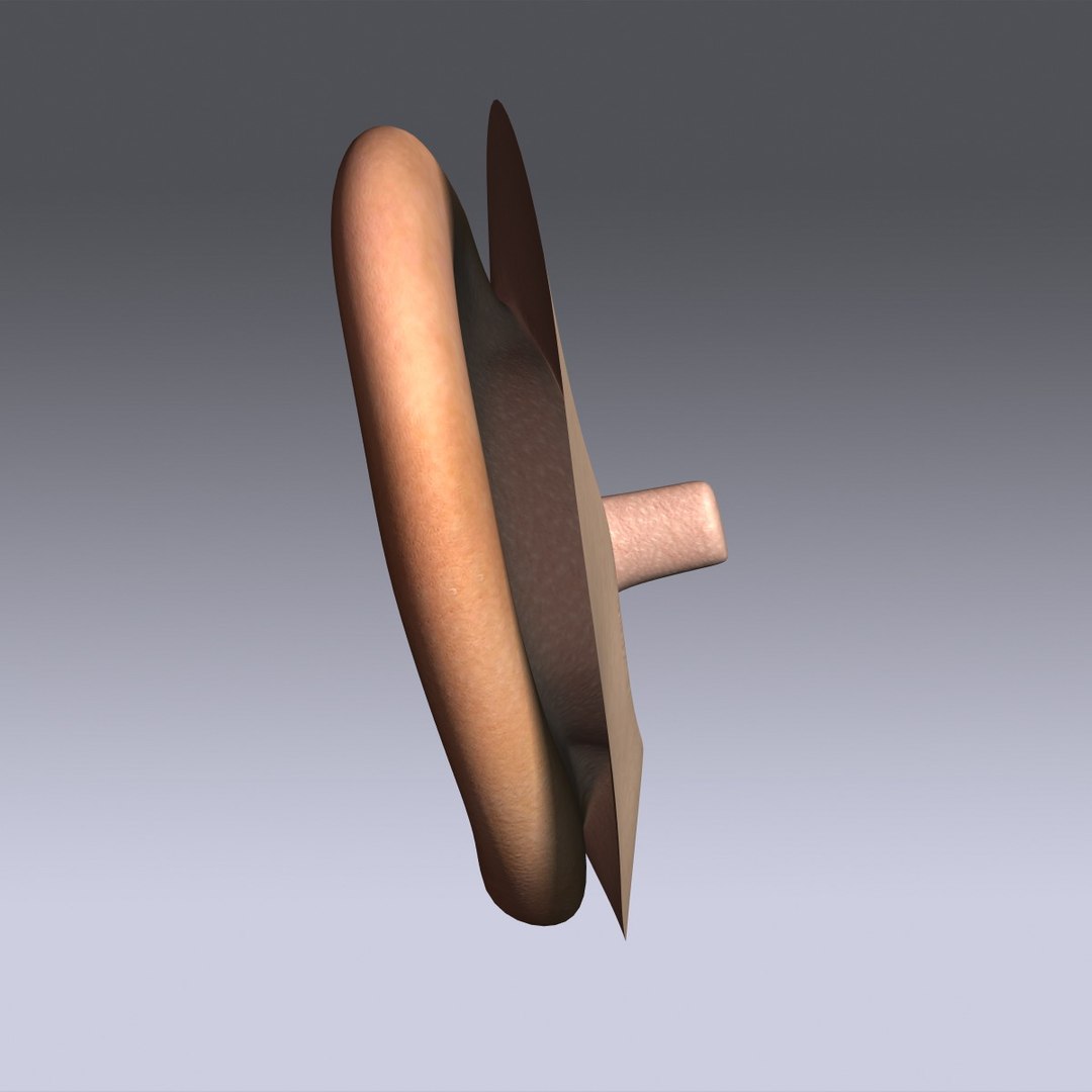 max human ear https://p.turbosquid.com/ts-thumb/rE/Zvo0ux/t0ku7GIF/image_05/jpg/1376337896/1920x1080/fit_q87/ce8d33efd20c12fac08f27e969b48a0bf684276c/image_05.jpg