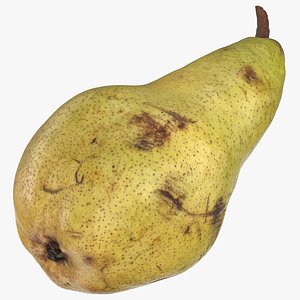 conference pear 04 3D model