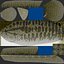 NorthernSnakehead