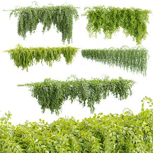 3D Hanging Wall Plants Collection Vol 342 model