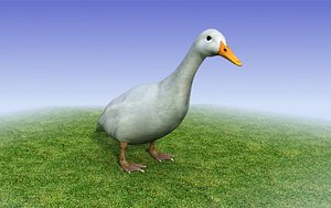 white duck 3d model
