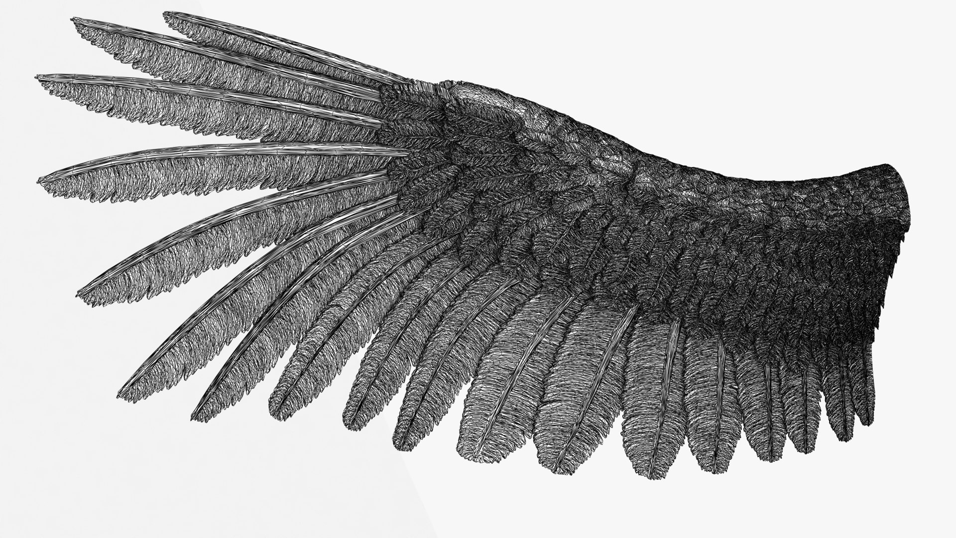 Wing 01 3D Model - TurboSquid 2025563