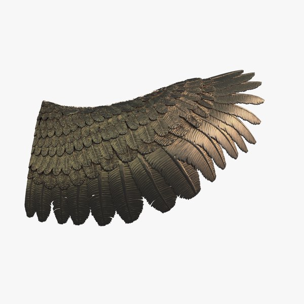 Wing 01 3D model - TurboSquid 2025563