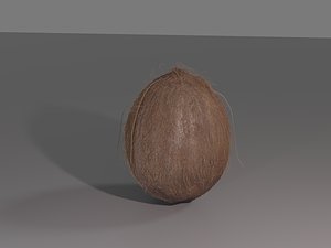 coconut half 3D model