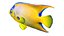 50 Fish Sea Creature Collection v3