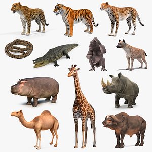 African Animals Collection 9