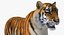 Collection d'animaux africains 9