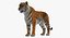 Collection d'animaux africains 9
