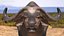 Collection d'animaux africains 9