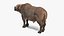 Collection d'animaux africains 9