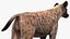 Collection d'animaux africains 9
