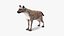 Collection d'animaux africains 9