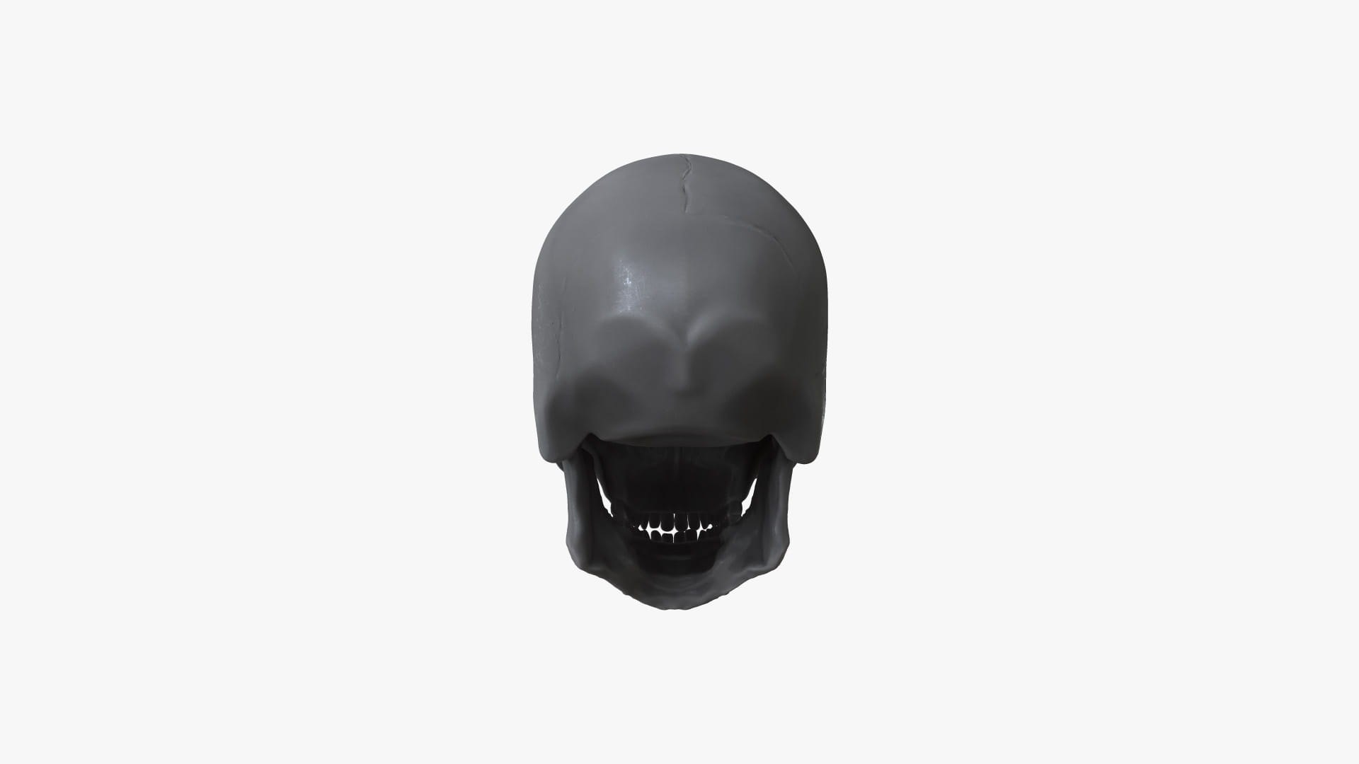 SKL-001 Rigged Skull Head 3D - TurboSquid 2132470