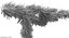 Christmas Fir Branch 3