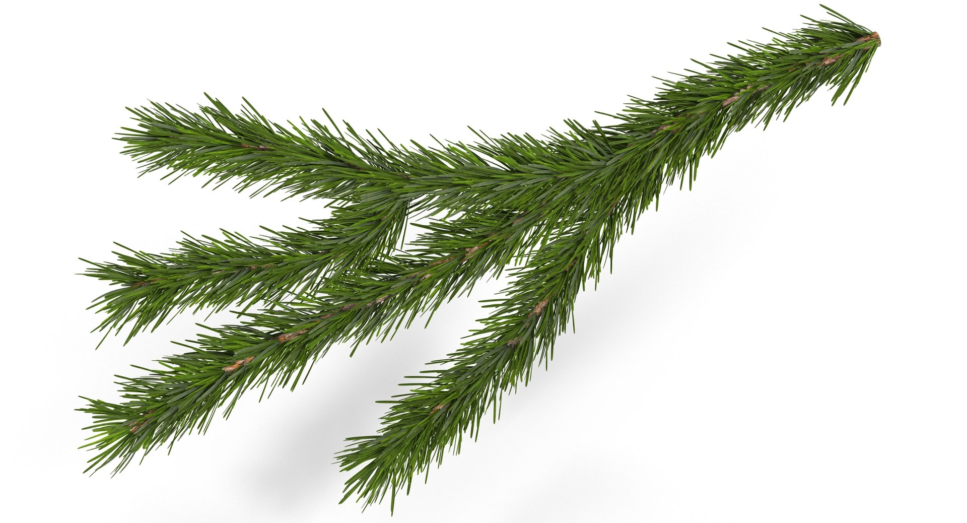 3d christmas fir branch 3 https://p.turbosquid.com/ts-thumb/rF/PG1i9q/8QrLxvM0/christmastree_0075/jpg/1476341030/1920x1080/fit_q87/f798d26fbe13d17a3bd42be9fc3cd7a5ef0911e5/christmastree_0075.jpg