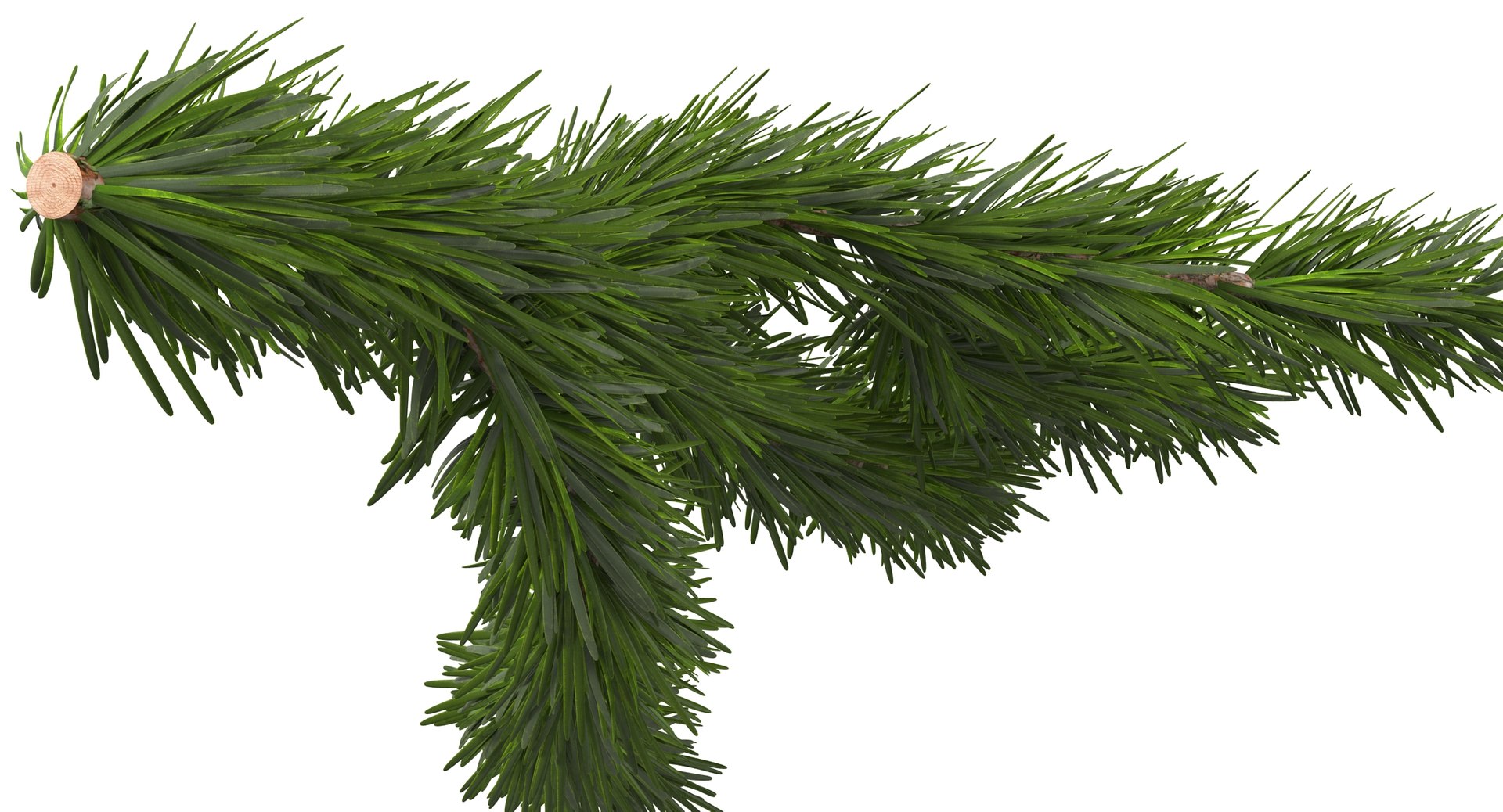 3d christmas fir branch 3 https://p.turbosquid.com/ts-thumb/rF/PG1i9q/CtGzkIUQ/christmastree_0078/jpg/1476341030/1920x1080/fit_q87/aeb74a20c57ecc67123552d3021c9b387a887a32/christmastree_0078.jpg
