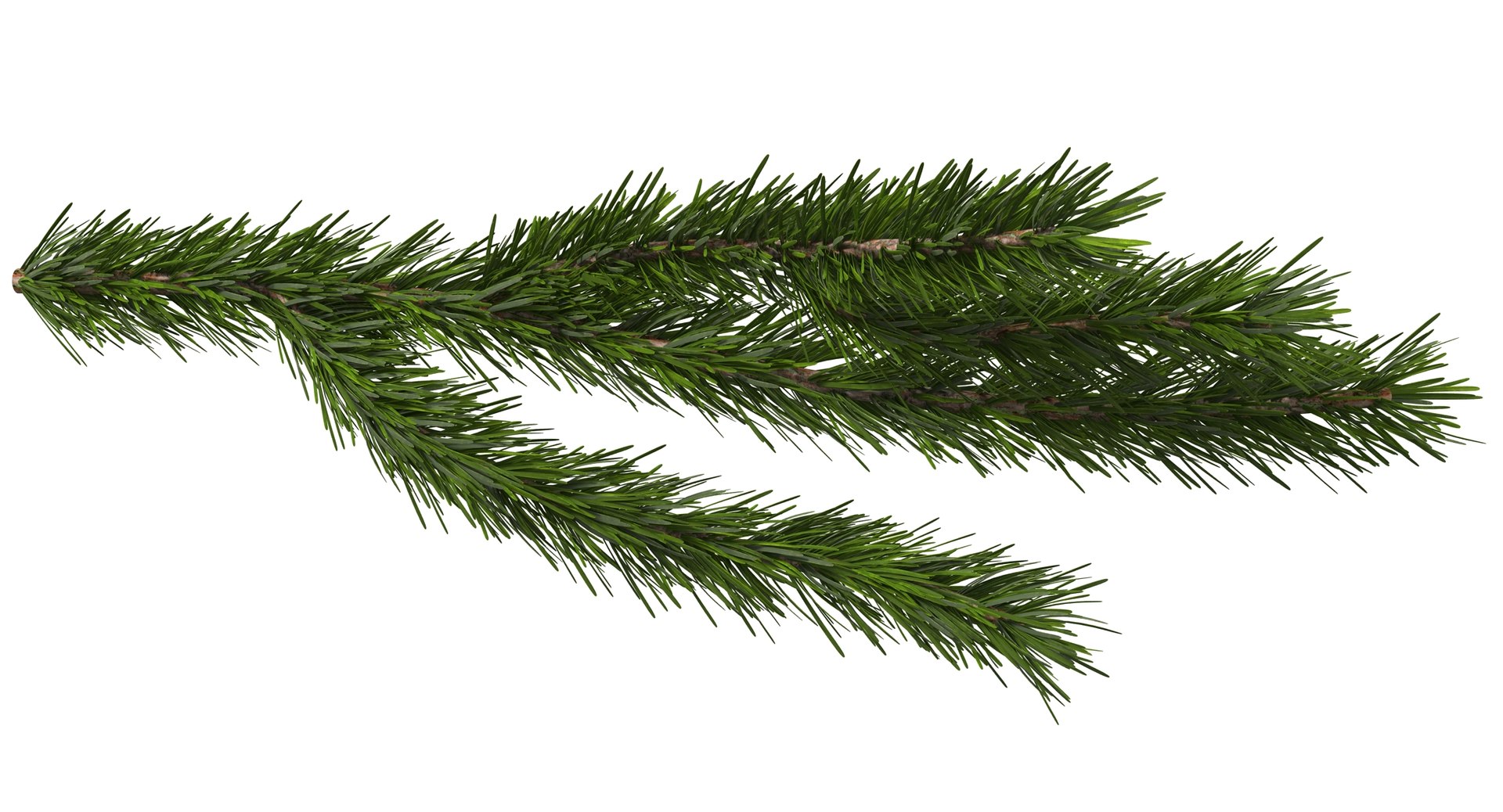 3d christmas fir branch 3 https://p.turbosquid.com/ts-thumb/rF/PG1i9q/EWr2tckm/christmastree_0074/jpg/1476341030/1920x1080/fit_q87/c491e27d16cf8915bc136bd3c4b1237f33c068b7/christmastree_0074.jpg