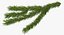 Christmas Fir Branch 3