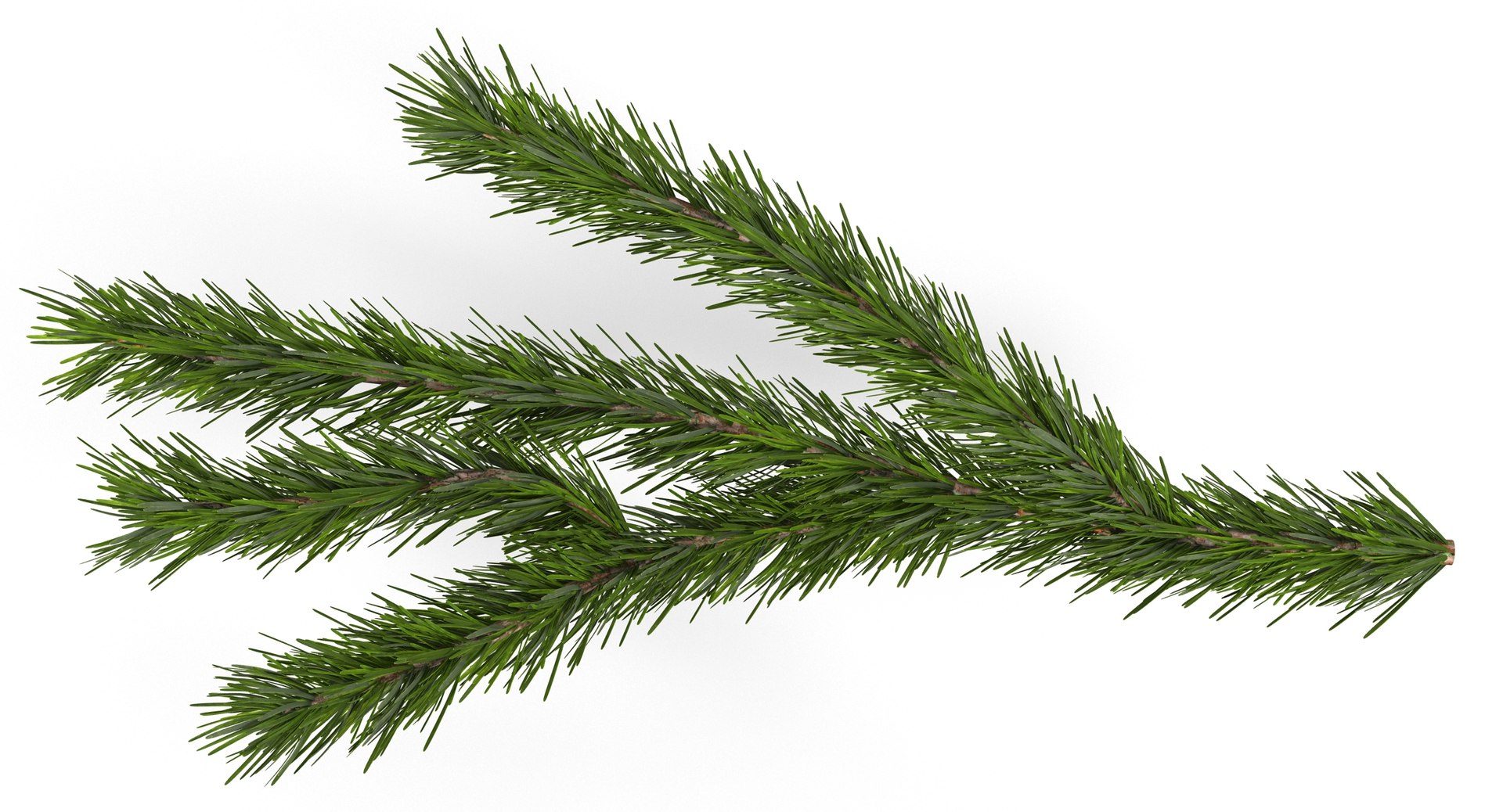 3d christmas fir branch 3 https://p.turbosquid.com/ts-thumb/rF/PG1i9q/NL5rMIEW/christmastree_0081/jpg/1476341030/1920x1080/fit_q87/18ba2944ff8ba18515512438901b22d09007f6d3/christmastree_0081.jpg