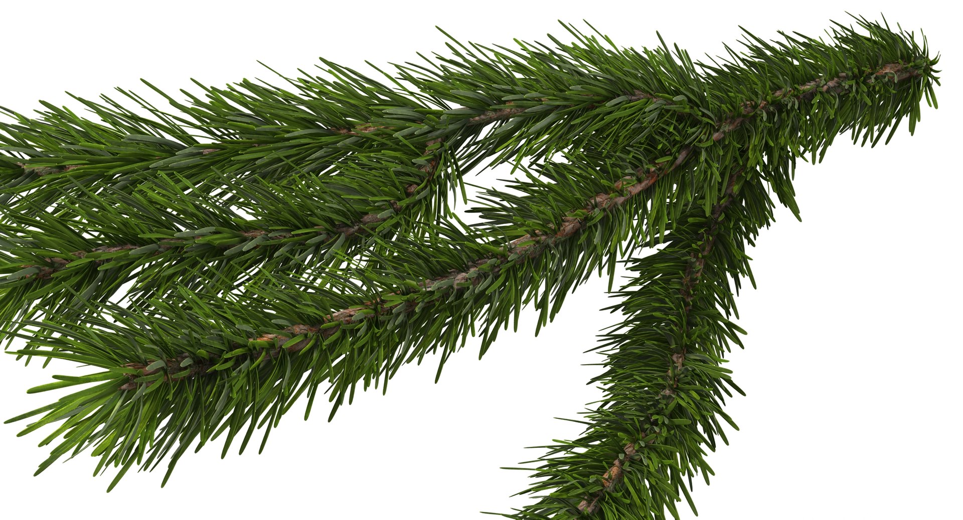 3d christmas fir branch 3 https://p.turbosquid.com/ts-thumb/rF/PG1i9q/P2OdIPLY/christmastree_0077/jpg/1476341030/1920x1080/fit_q87/154d13d816f87e68c94bf6551275bc754110d9c8/christmastree_0077.jpg