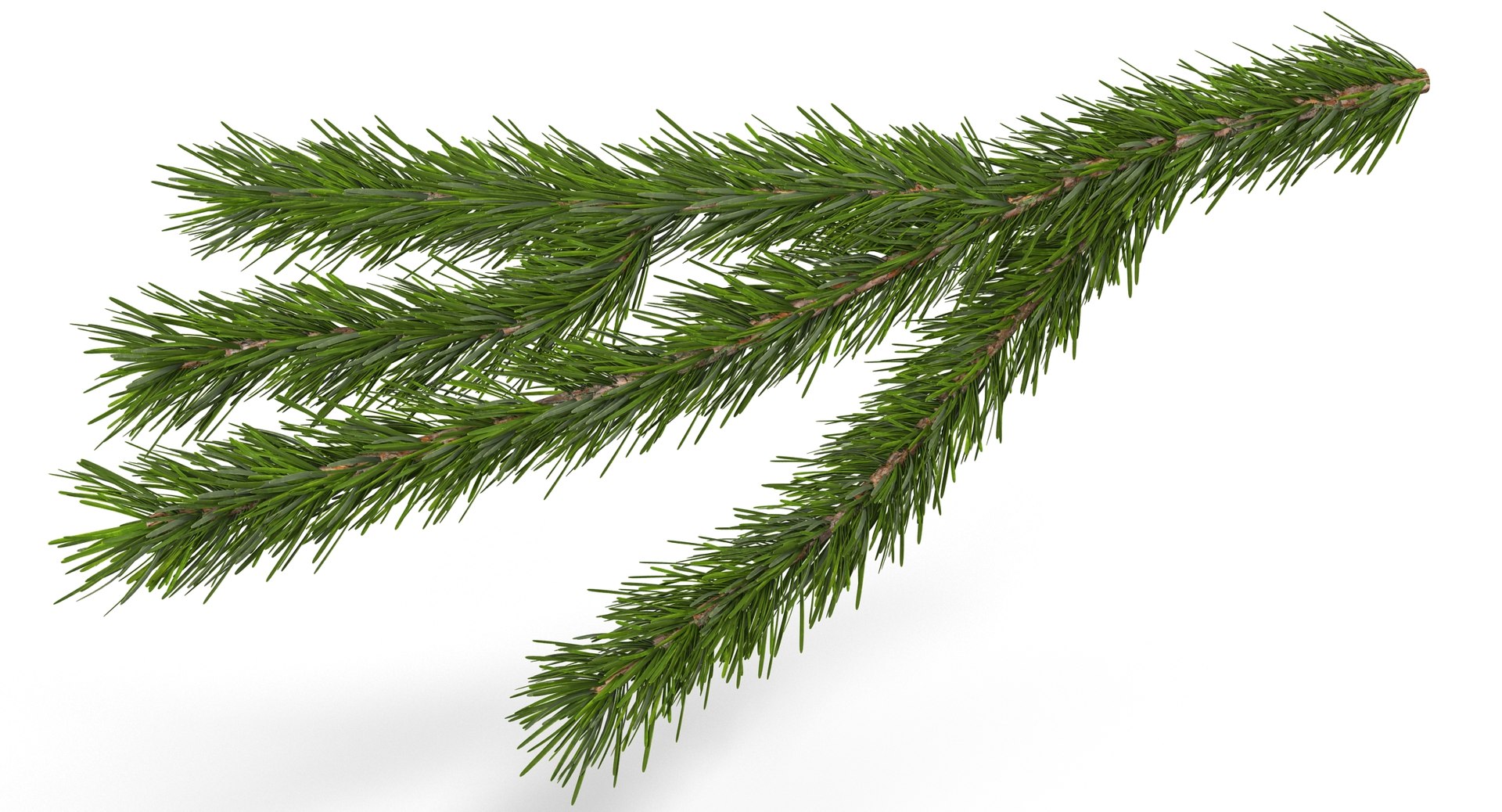 3d christmas fir branch 3 https://p.turbosquid.com/ts-thumb/rF/PG1i9q/SK0Hbhv7/christmastree_0071/jpg/1476340073/1920x1080/fit_q87/42bce716e16ab648e82da94508bcc4ac3512c618/christmastree_0071.jpg