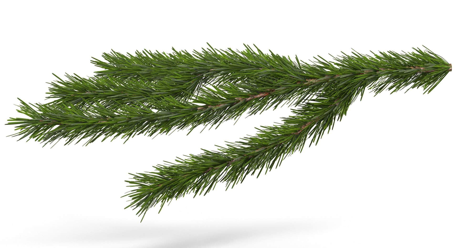 3d christmas fir branch 3 https://p.turbosquid.com/ts-thumb/rF/PG1i9q/aJ0CU49P/christmastree_0079/jpg/1476341030/1920x1080/fit_q87/ad081b53386583bf5c4cbbcace12100a59b72f02/christmastree_0079.jpg